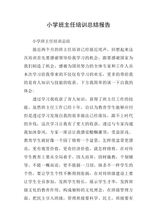 小学班主任培训总结报告