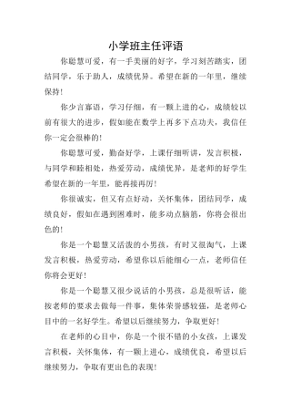 小学班主任评语