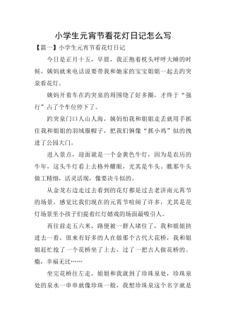 小学生元宵节看花灯日记怎么写