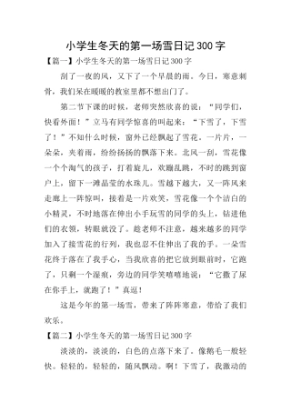 小学生冬天的第一场雪日记300字