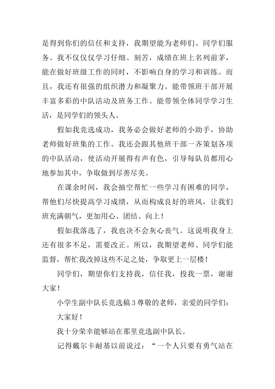 小学生副中队长竞选稿范文_第3页