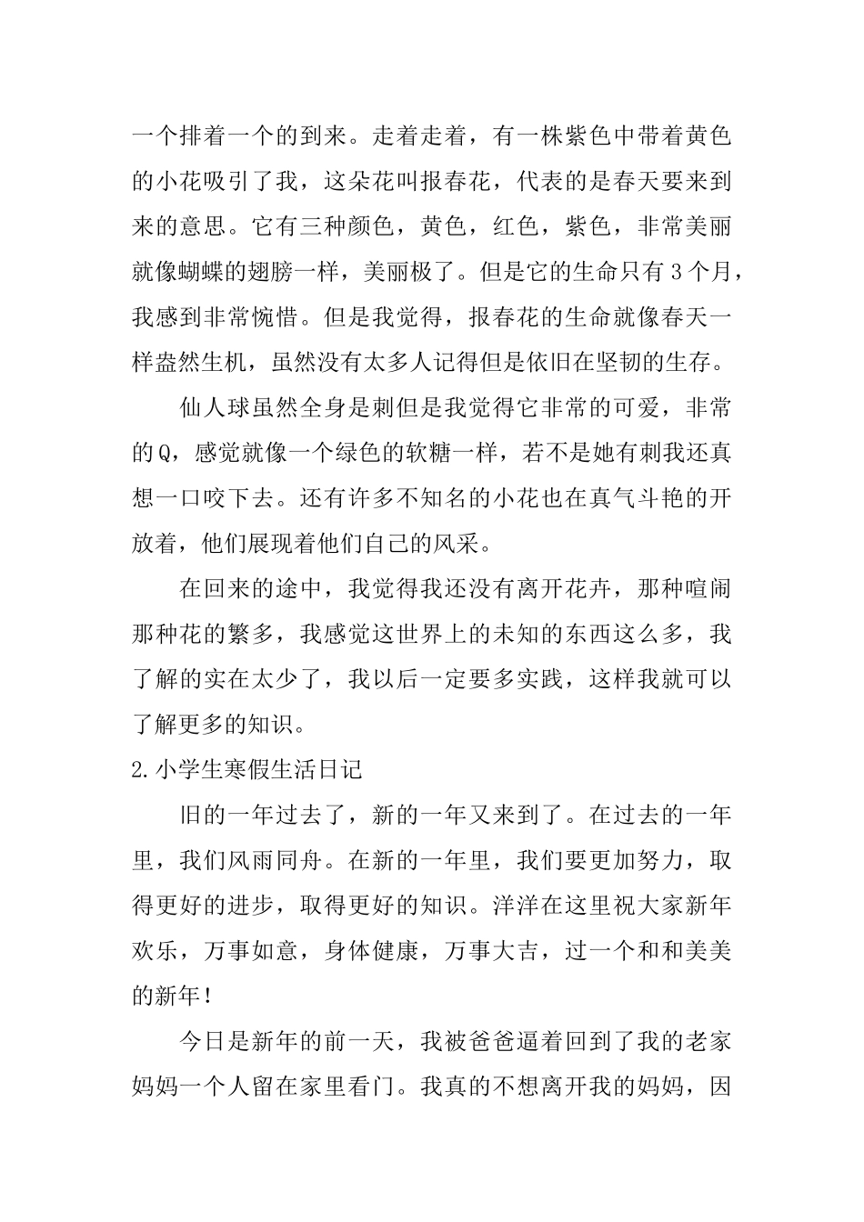 小学生寒假生活日记10篇_第2页