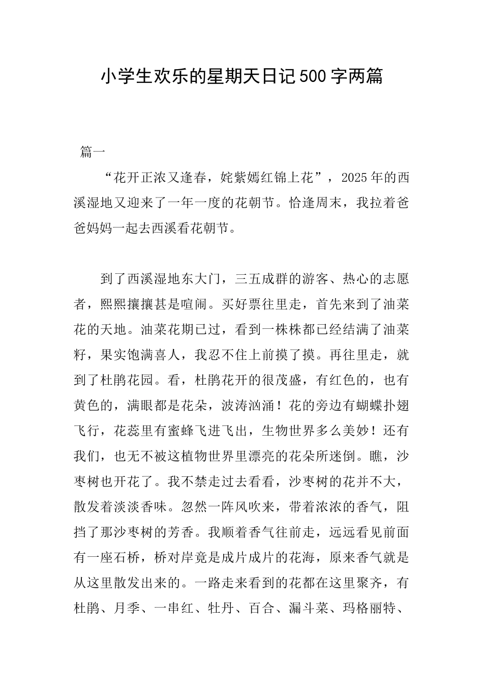 小学生快乐的星期天日记500字两篇_第1页