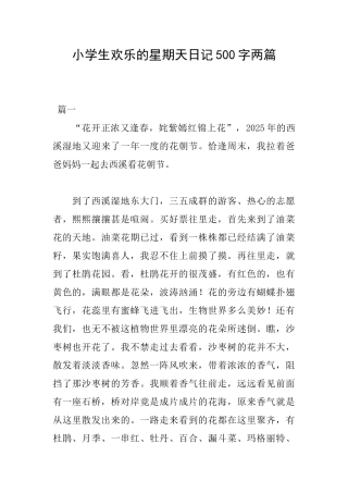 小学生快乐的星期天日记500字两篇