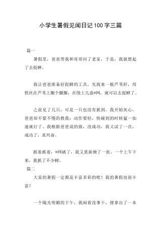 小学生暑假见闻日记100字三篇