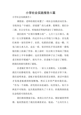 小学社会实践报告5篇
