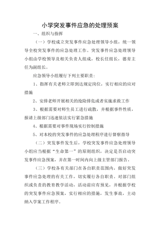 小学突发事件应急的处理预案
