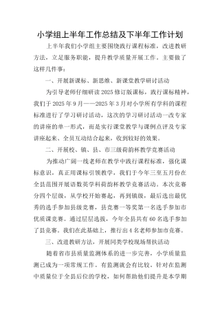 小学组上半年工作总结及下半年工作计划