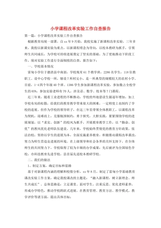 小学课程改革实验工作自查报告