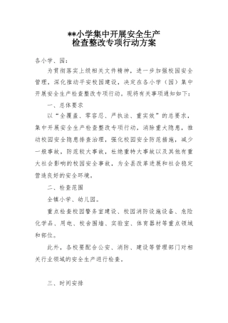 小学集中开展安全生产检查整改专项行动方案
