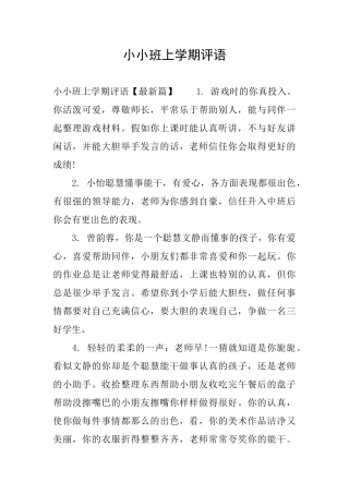 小小班上学期评语