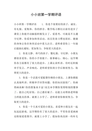 小小班第一学期评语