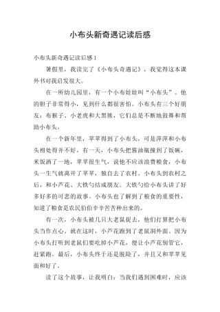 小布头新奇遇记读后感