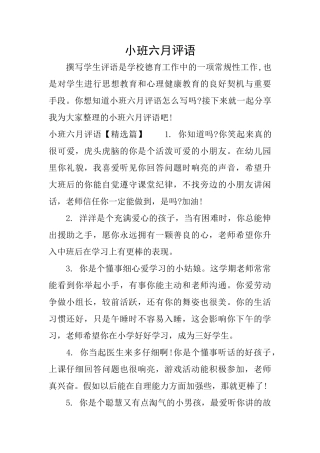 小班六月评语