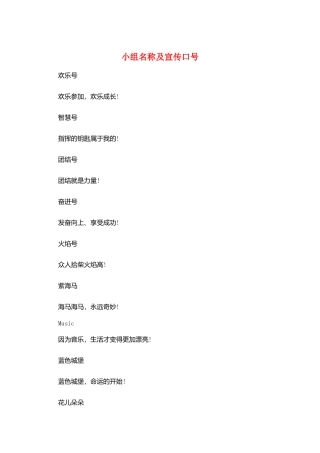小组名称及宣传口号