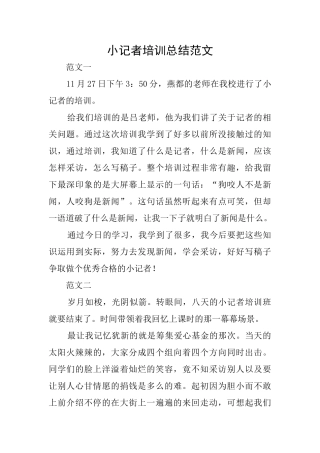小记者培训总结范文