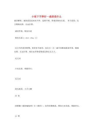 小雨下不停打一成语是什么