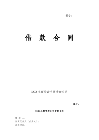 小额贷款公司借款合同(1)