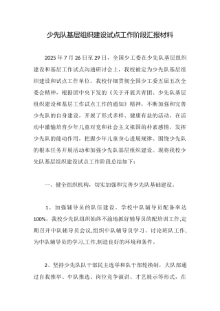 少先队基层组织建设试点工作阶段汇报材料