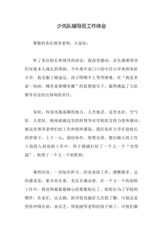 少先队辅导员工作体会