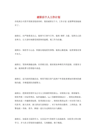就职后个人工作计划