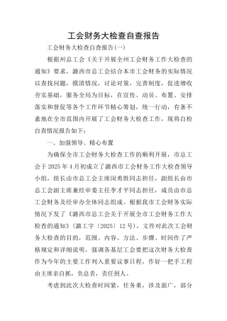 工会财务大检查自查报告