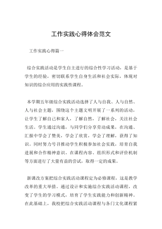 工作实践心得体会范文