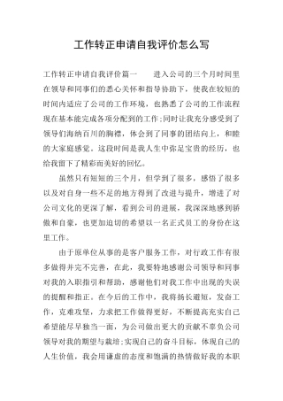 工作转正申请自我评价怎么写