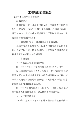 工程项目自查报告