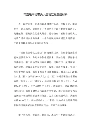 市五级书记带头大走访汇报总结材料