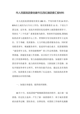 市人民医院团委创建市五四红旗团委汇报材料