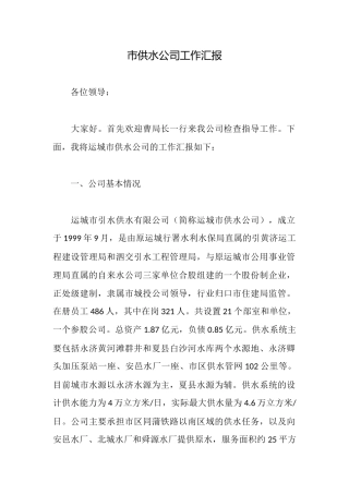 市供水公司工作汇报