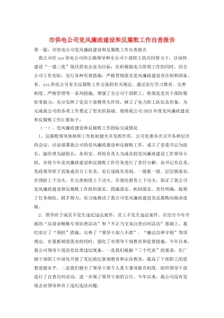 市供电公司党风廉政建设和反腐败工作自查报告