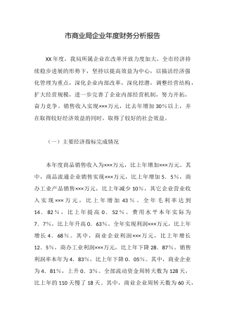 市商业局企业年度财务分析报告