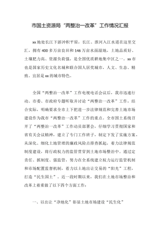 市国土资源局“两整治一改革”工作情况汇报