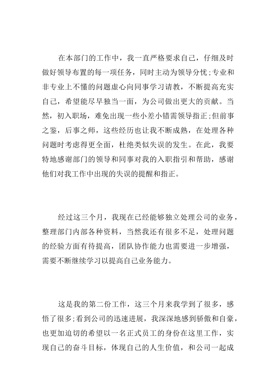 市场营销个人试用期工作总结_第2页