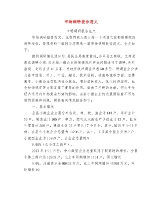 市场调研报告范文