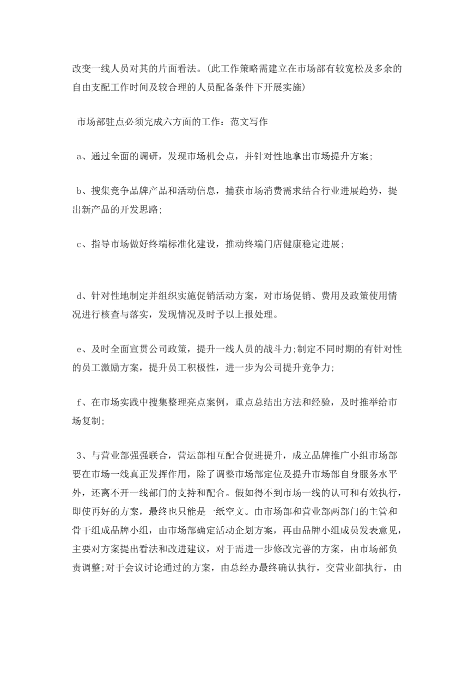 市场部2025年度工作计划2篇_第2页