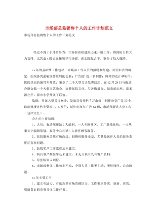 市场部总监销售个人的工作计划范文