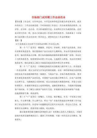 市场部门试用期工作总结范本