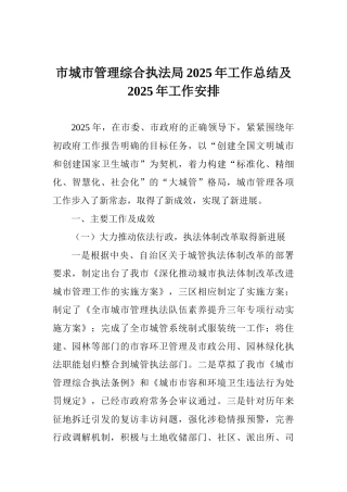 市城市管理综合执法局2025年工作总结及2025年工作安排