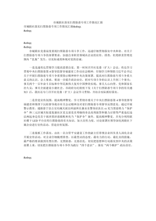 市城联社落实扫黑除恶专项工作情况汇报