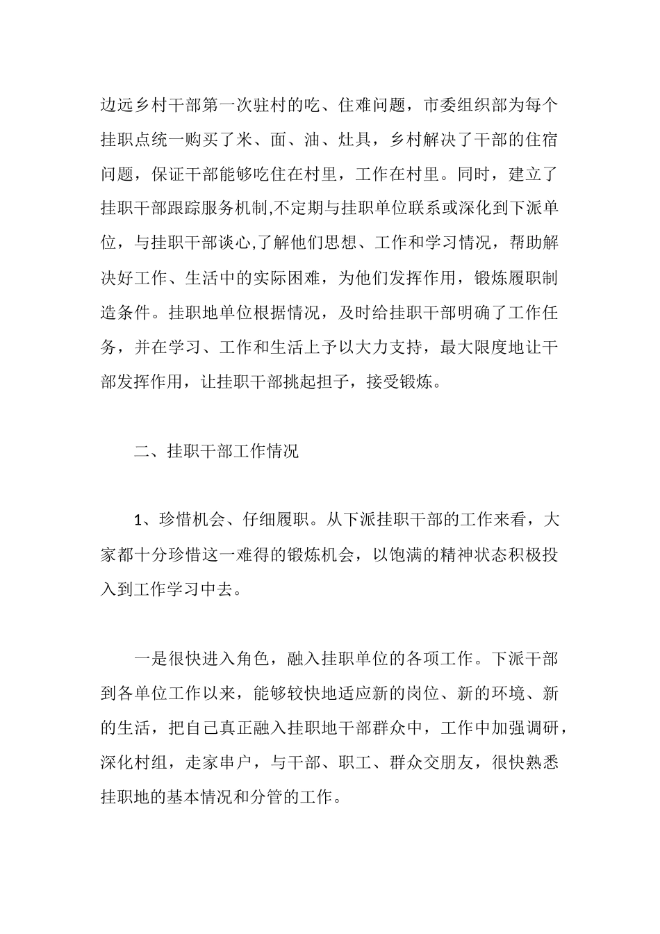 市挂职干部工作情况汇报_第2页