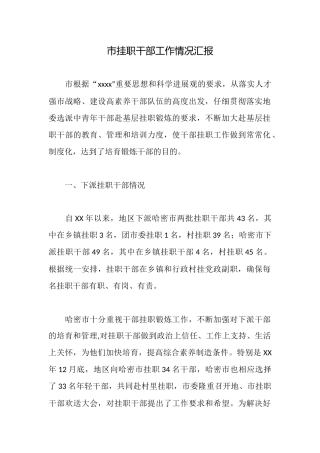 市挂职干部工作情况汇报