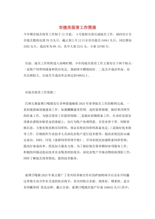 市接羔保育工作简报