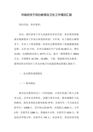 市政府关于民办教育及卫生工作情况汇报