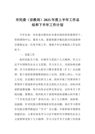 市民委2025年度上半年工作总结和下半年工作计划