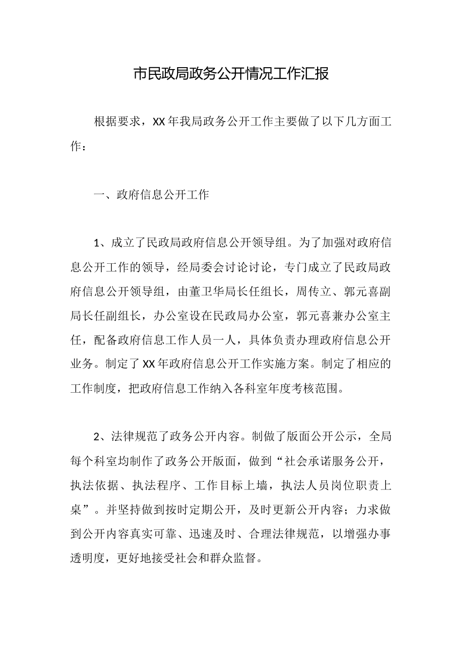 市民政局政务公开情况工作汇报_第1页