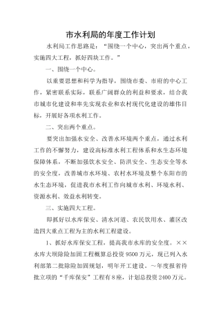 市水利局的年度工作计划