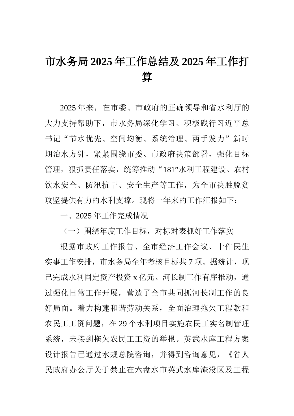 市水务局2025年工作总结及2025年工作打算_第1页